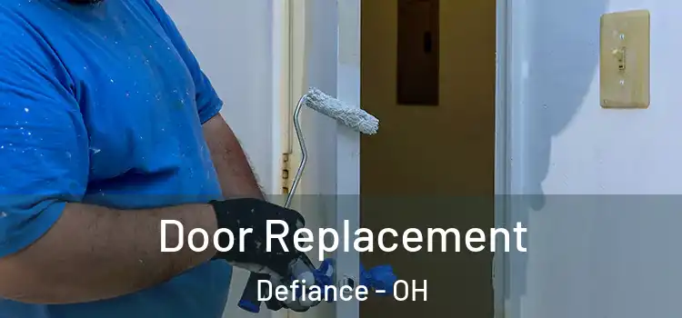 Door Replacement Defiance - OH