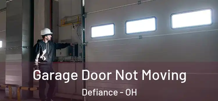  Garage Door Not Moving Defiance - OH