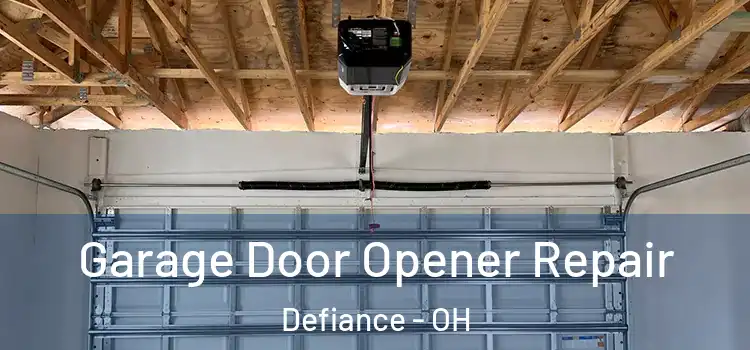  Garage Door Opener Repair Defiance - OH