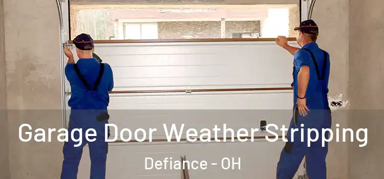  Garage Door Weather Stripping Defiance - OH