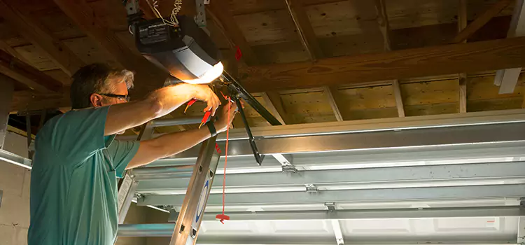 Garage Door Opener Sales and Installation Defiance