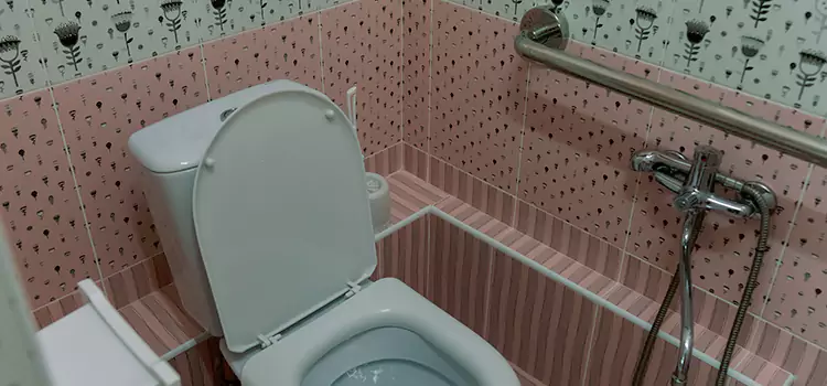 Meeting Diverse Needs With Accessible Restroom Solutions in Defiance, OH