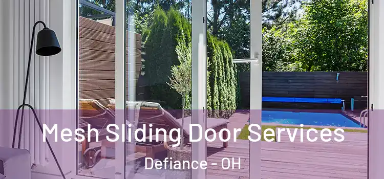 Mesh Sliding Door Services Defiance - OH