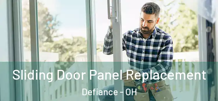  Sliding Door Panel Replacement Defiance - OH